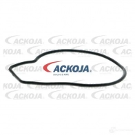 Водяной насос, помпа ACKOJA 1437298763 a2650005 M5IZP O - Изображение 2