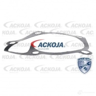 Водяной насос, помпа ACKOJA 4062375038435 1424604262 OQ Z2HN0 a5350003 - Изображение 2