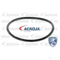 Водяной насос, помпа ACKOJA 4062375036349 W YWYH8H a3850010 1424604219 - Изображение 2