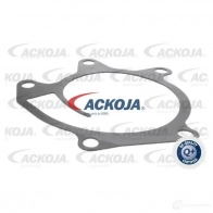 Водяной насос, помпа ACKOJA HJ013F U 4062375034468 a380701 1424604208 - Изображение 2