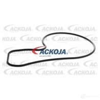 Водяной насос, помпа ACKOJA Y MVN4 a2650020 1437298790 - Изображение 2