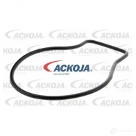 Водяной насос, помпа ACKOJA VT VWP a2650015 1437298766 - Изображение 2