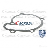 Водяной насос, помпа ACKOJA XDPTD R a3850004 4062375037407 1424604213 - Изображение 2