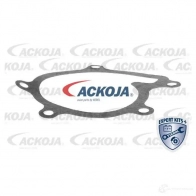 Водяной насос, помпа ACKOJA 1424604294 4062375037605 a7050002 U0YMXZ O - Изображение 2