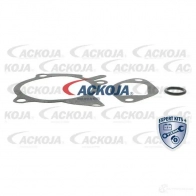 Водяной насос, помпа ACKOJA a3250013 4062375037322 1424604195 DZ ZAN8 - Изображение 2