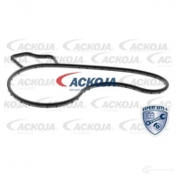 Водяной насос, помпа ACKOJA 4062375036509 X U4DQG6 a7050031 1424604322 - Изображение 2