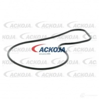 Водяной насос, помпа ACKOJA 1437298757 M QZDL a2650018 - Изображение 2