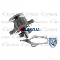 Водяной насос, помпа ACKOJA 4046001808043 M1QL R5 1424604232 a520705 - Изображение 3