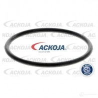 Водяной насос, помпа ACKOJA a520703 ZYB2ND Y 1424604230 4046001807886 - Изображение 2