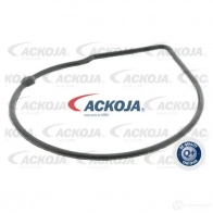 Водяной насос, помпа ACKOJA a520703 ZYB2ND Y 1424604230 4046001807886 - Изображение 3