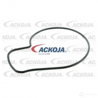 Водяной насос, помпа ACKOJA a2650014 3K CS5S 1437298769 - Изображение 2