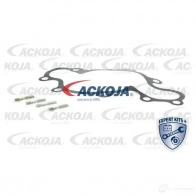 Водяной насос, помпа ACKOJA 4062375037278 IRU ML a3250007 1424604189 - Изображение 2