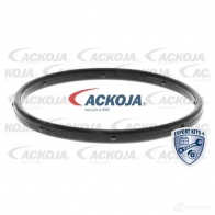 Водяной насос, помпа ACKOJA UZCEG JJ 4062375036547 a5350010 1424604265 - Изображение 2