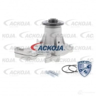 Водяной насос, помпа ACKOJA 1424604313 4062375036257 Y6 K0KPP a7050021