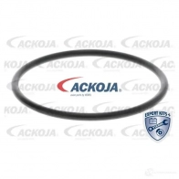 Водяной насос, помпа ACKOJA a3850011 4062375036295 7E I6X 1424604220 - Изображение 2