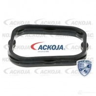 Водяной насос, помпа ACKOJA 1424604196 4 1SYLDR a3250014 4062375033379 - Изображение 2