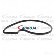Водяной насос, помпа ACKOJA 8QN 6CB a520722 1438026315 - Изображение 2
