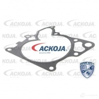 Водяной насос, помпа ACKOJA XQ TH1B7 4062375036288 a3250015 1424604197 - Изображение 2