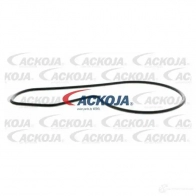 Водяной насос, помпа ACKOJA NVO5 LBF a2650010 1437298770 - Изображение 2