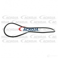 Водяной насос, помпа ACKOJA a2650009 D 2LUBY 1437298754 - Изображение 2