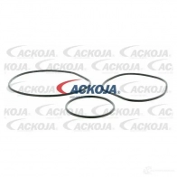 Водяной насос, помпа ACKOJA 1437298742 a2650013 4ANE1 V - Изображение 2