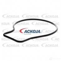 Водяной насос, помпа ACKOJA 1HY KD a2650011 1437298779 - Изображение 2