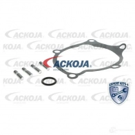Водяной насос, помпа ACKOJA Z5 6X5Z a5250007 1424604252 4062375037490 - Изображение 2