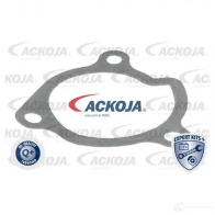 Водяной насос, помпа ACKOJA GH80TW D 1424604214 4062375038428 a3850005 - Изображение 2