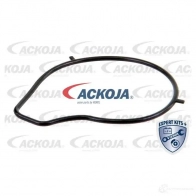 Водяной насос, помпа ACKOJA G 19CJ0D 1424604193 a3250011 4062375038411 - Изображение 2