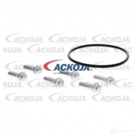 Водяной насос, помпа ACKOJA 1424604310 4062375036226 a7050018 R JZKO - Изображение 2