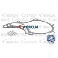 Водяной насос, помпа ACKOJA TMEDDR O a7050016 1424604308 4062375036202 - Изображение 2