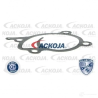 Водяной насос, помпа ACKOJA a3850009 4062375037445 PU3 WP 1424604218 - Изображение 2