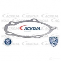 Водяной насос, помпа ACKOJA OAQW C a6450001 1424604272 4062375037544 - Изображение 2