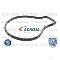 Водяной насос, помпа ACKOJA SDSDT F 1424604298 a7050006 4062375037667 - Изображение 2