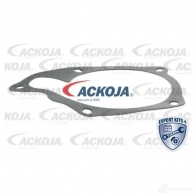 Водяной насос, помпа ACKOJA 8MSV TFZ 1424604215 a3850006 4062375037414 - Изображение 2