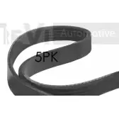 Приводной ремень, поликлиновой TREVI AUTOMOTIVE SK5PK926 RPK5 PK926 5PK926 Mitsubishi Galant 7 (E52A) Хэтчбек 2.0 V6 24 (E64A. E54A) 150 л.с. 1992 – 1996