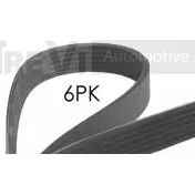 Приводной ремень, поликлиновой TREVI AUTOMOTIVE 6PK1069 1194563791 SK6PK1069 R PK6PK1069