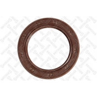 Прокладки двигателя STELLOX 11-22008-SX 1440172684 Y21T MK5 - Изображение 2
