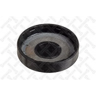 Заглушка блока цилиндров STELLOX N Y2T7 1437202937 75-52753-SX - Изображение 2