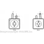 Масляный радиатор двигателя AVA QUALITY COOLING Audi A8 (D2) 1 1994 – 2002 VN3089 4045385225567 1NE0 5F