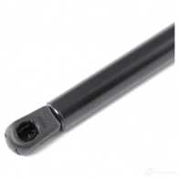 Амортизатор капота ABAKUS V2PAK 3 10100062 1424583438 - Изображение 3