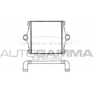 Интеркулер AUTOGAMMA 1198333640 404202 4ZRI5I TB 7A3R