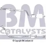 Катализатор BM CATALYSTS YN0WX Y C18K2E 1202685478 BM80521