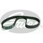 Ремень ГРМ GATES EWMER64 T160 915 7Y 1203362839