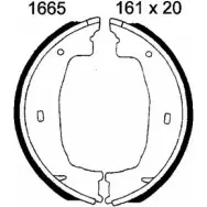 Тормозные колодки ручника, комплект BSF E I31XT 1203446877 IF2YF8 01665