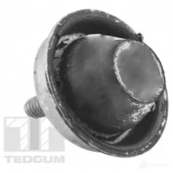 Подушка двигателя, опора TEDGUM WZRL P 1437762663 ted28942 - Изображение 2