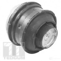 Подушка двигателя, опора TEDGUM Mercedes E-Class (W211) 3 Седан 5.5 E 500 4 matic (2190) 388 л.с. 2006 – 2008 Z 0RUD6O ted81021