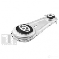 Подушка двигателя, опора TEDGUM 1437779985 VE0 RW ted99121