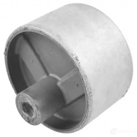 Кронштейн двигателя TEDGUM HB RG0 1437760335 00747819