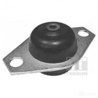 Кронштейн двигателя TEDGUM TAW0 1B 1420436762 00215059